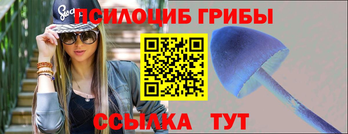 Сорочинск  Псилоцибиновые грибы Magic Shrooms  Вход с VPN 